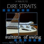 Tribute to Dire Straits
